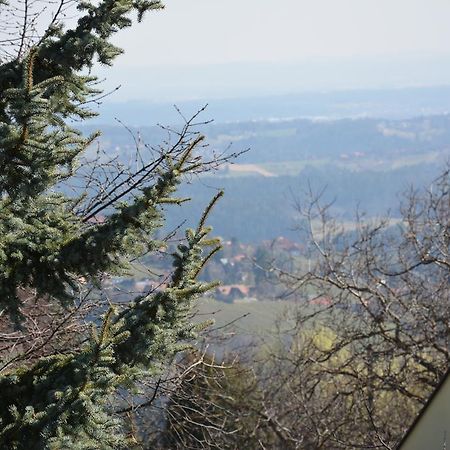 Weingut Seiner Vlg. Kraxner Greisdorf Exterior foto
