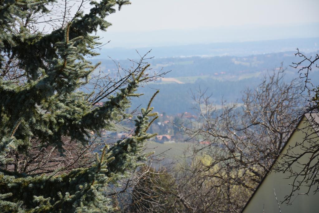 Weingut Seiner Vlg. Kraxner Greisdorf Exterior foto